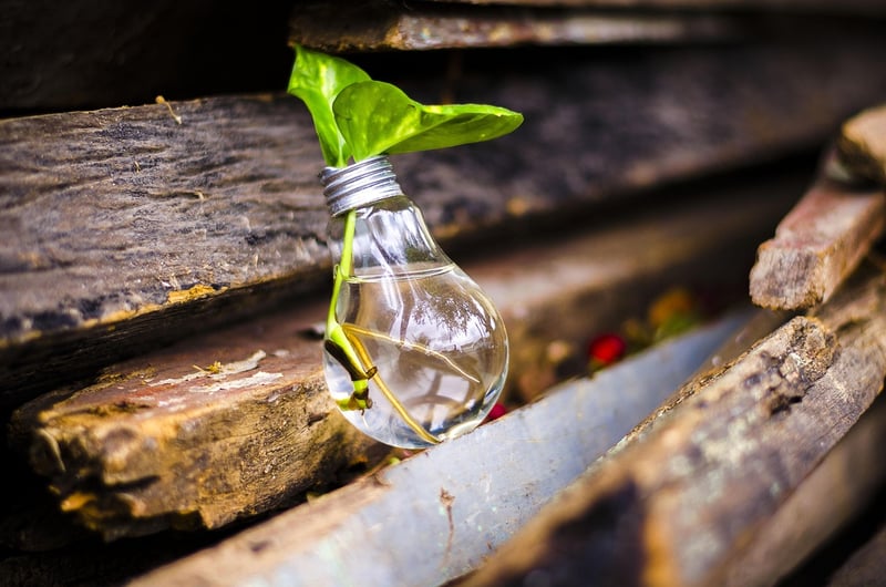 Eco-Friendly Crafts